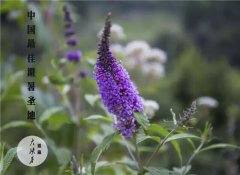 对不起，大峡谷的“她”勾引了你