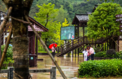 烟雨峡谷分外多情，你来过吗？