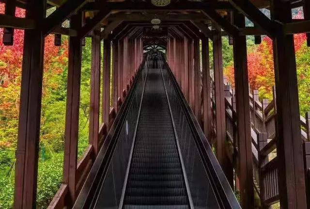 白露|来大峡谷赏秋景吃秋茶